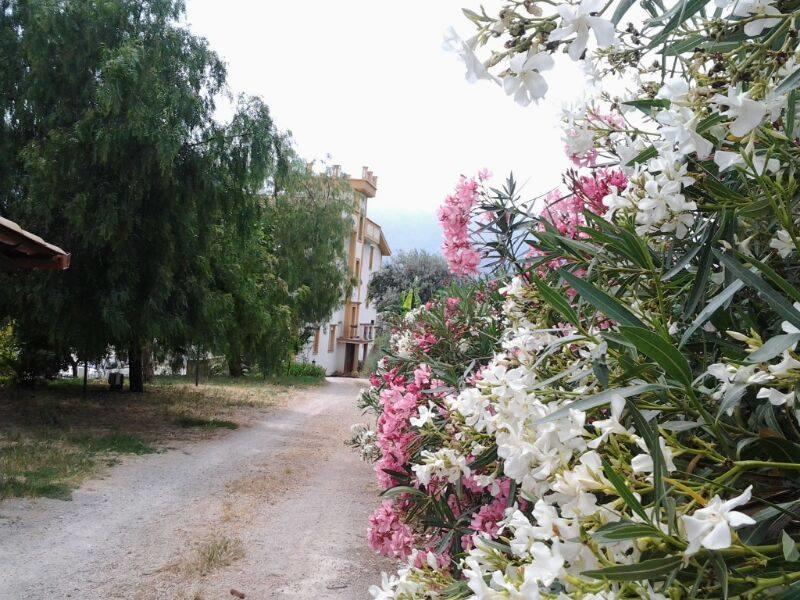 Rocca Di Monreale Bed and Breakfast Buitenkant foto